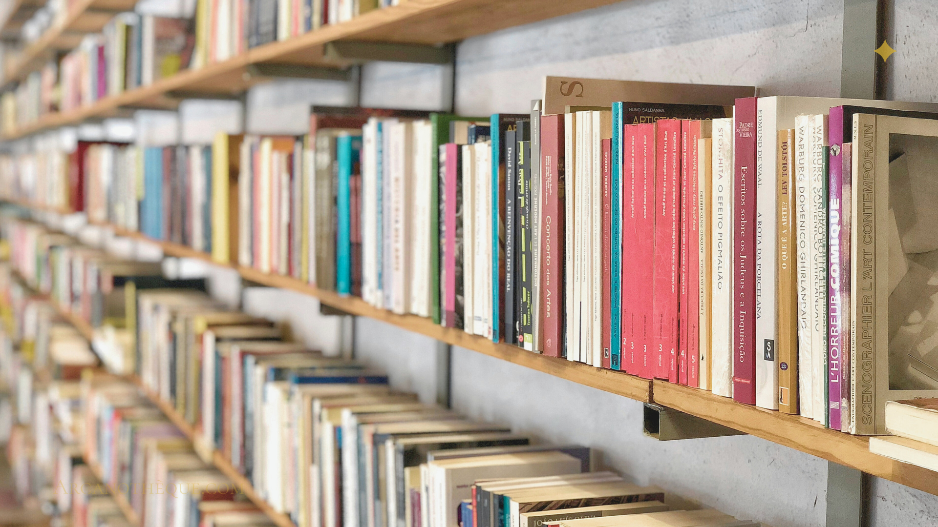 rangées de livres dans une bibliothèque